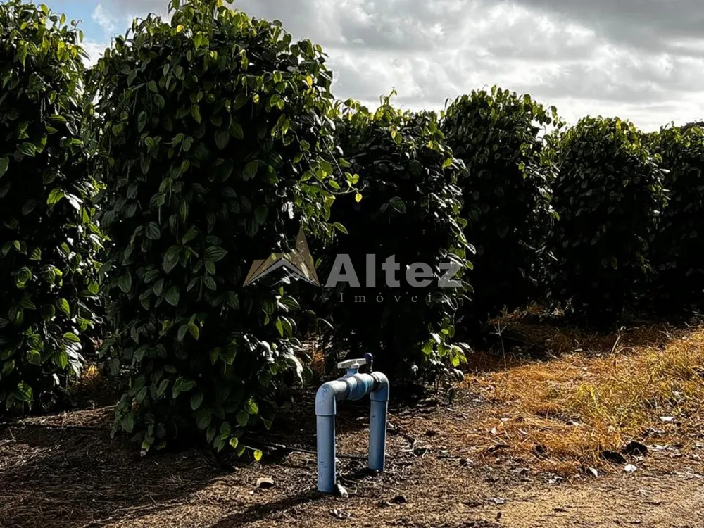 Fazenda, 587 hectares - Foto 10
