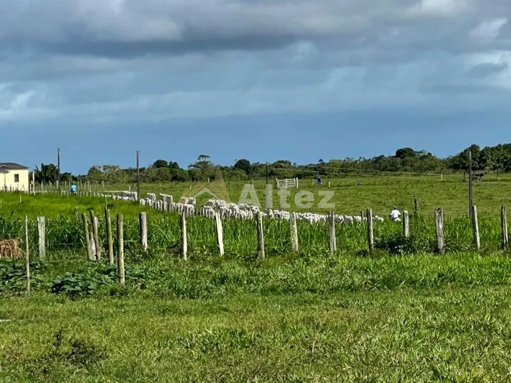 Fazenda, 587 hectares - Foto 5