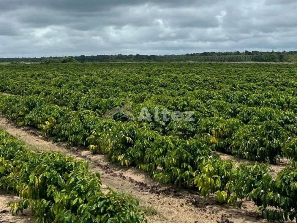 Fazenda, 587 hectares - Foto 3