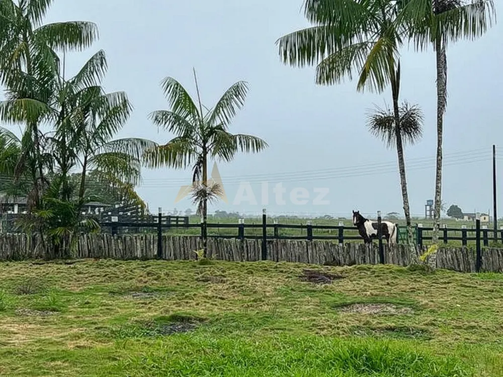 Fazenda, 587 hectares - Foto 7