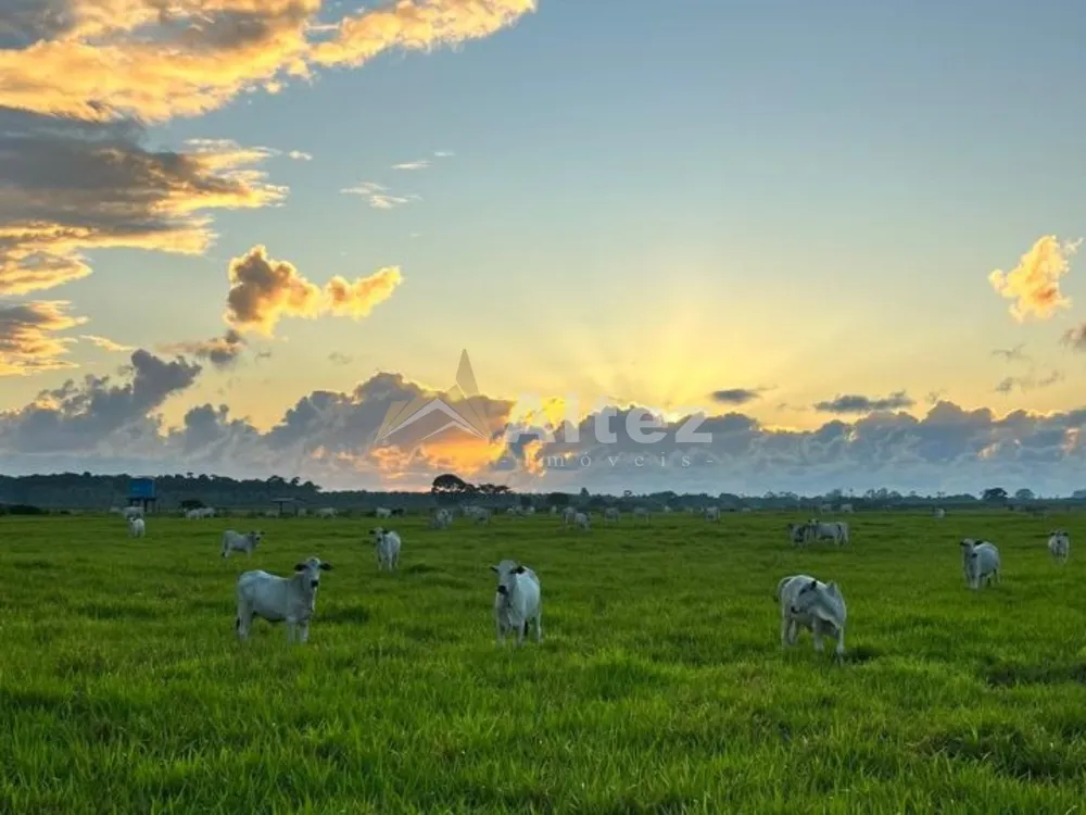 Fazenda, 587 hectares - Foto 6
