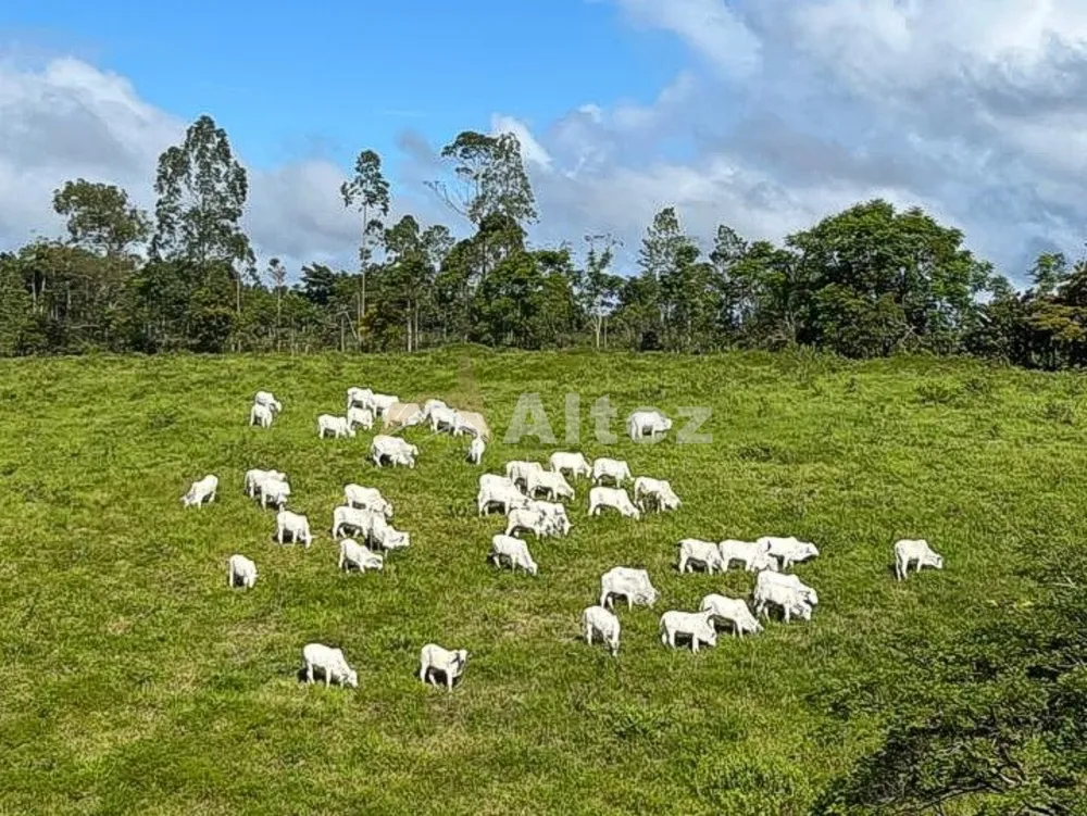 Fazenda, 587 hectares - Foto 4