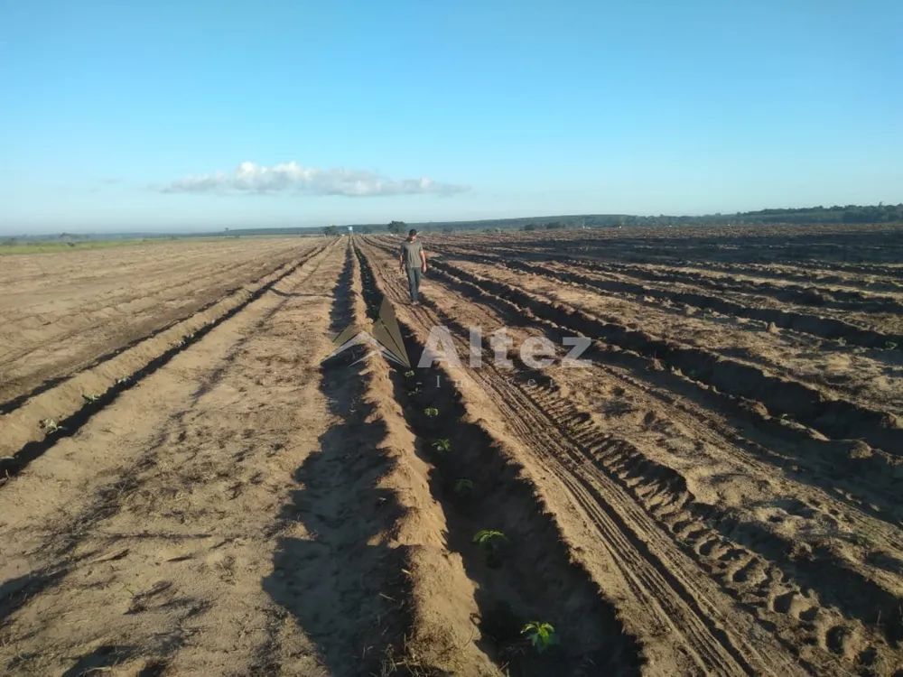 Fazenda, 587 hectares - Foto 11