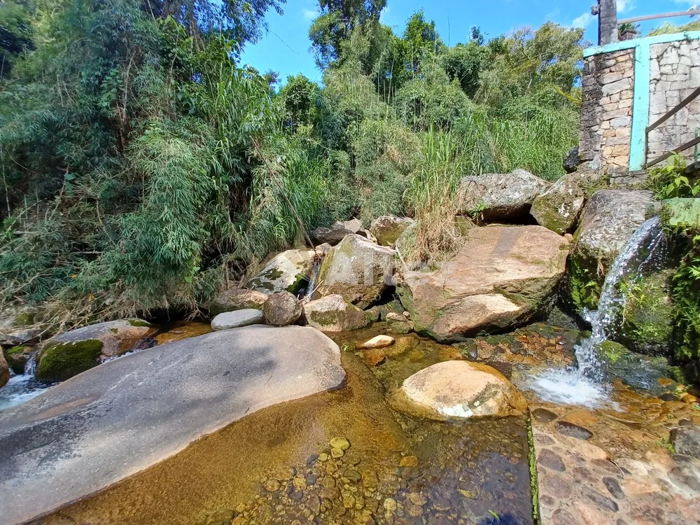 Sítio, 5 quartos, 6 hectares - Foto 3