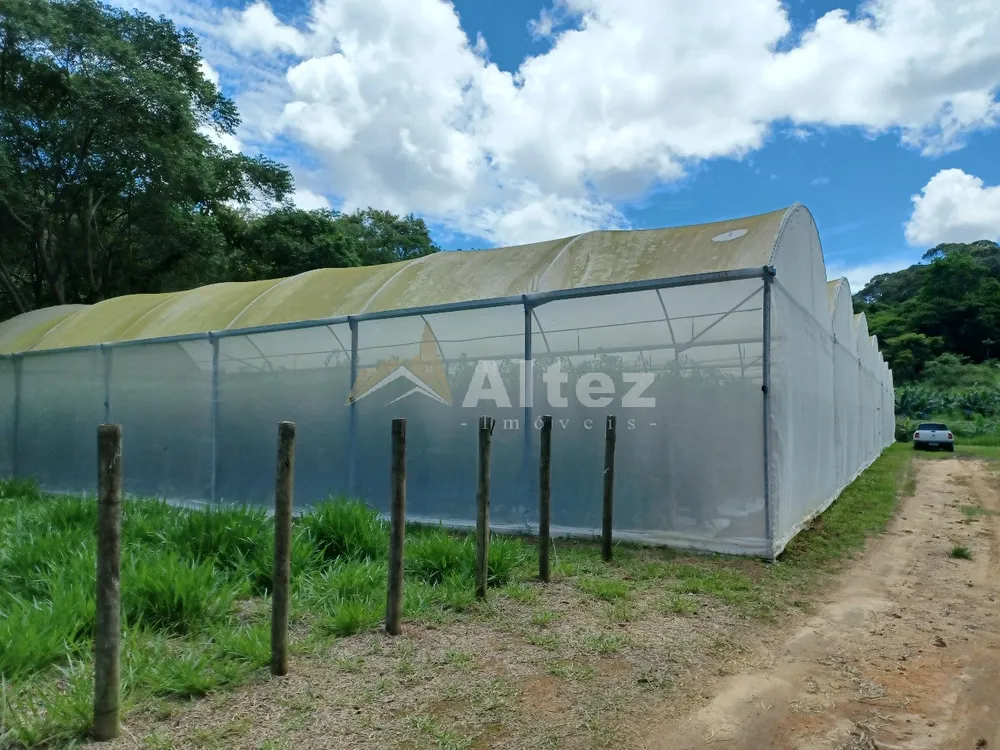 Sítio, 22 quartos, 41 hectares - Foto 76