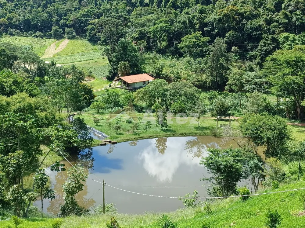 Sítio, 22 quartos, 41 hectares - Foto 26