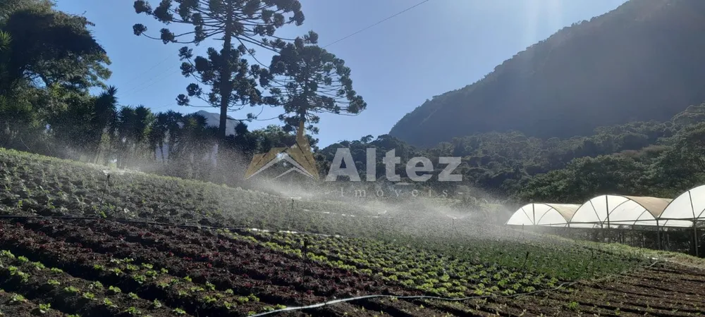 Sítio, 22 quartos, 41 hectares - Foto 4
