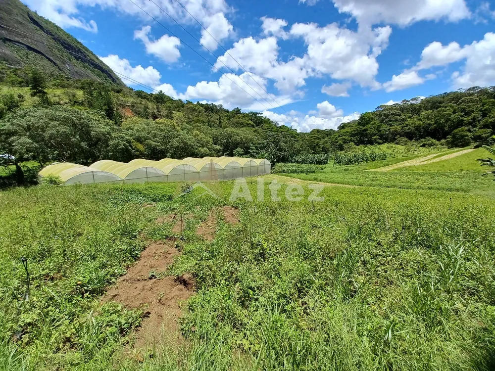 Sítio, 22 quartos, 41 hectares - Foto 75