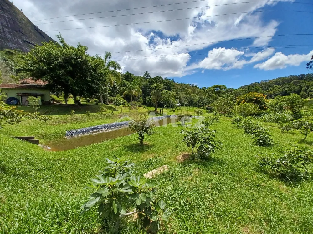 Sítio, 22 quartos, 41 hectares - Foto 62