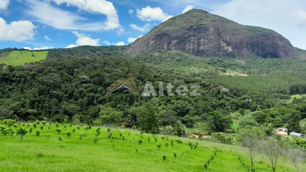 Sítio, 22 quartos, 41 hectares - Foto 3