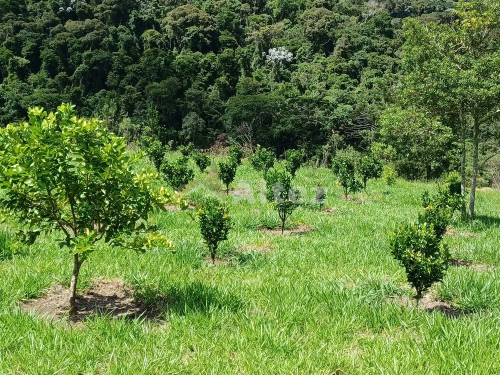 Sítio, 22 quartos, 41 hectares - Foto 48