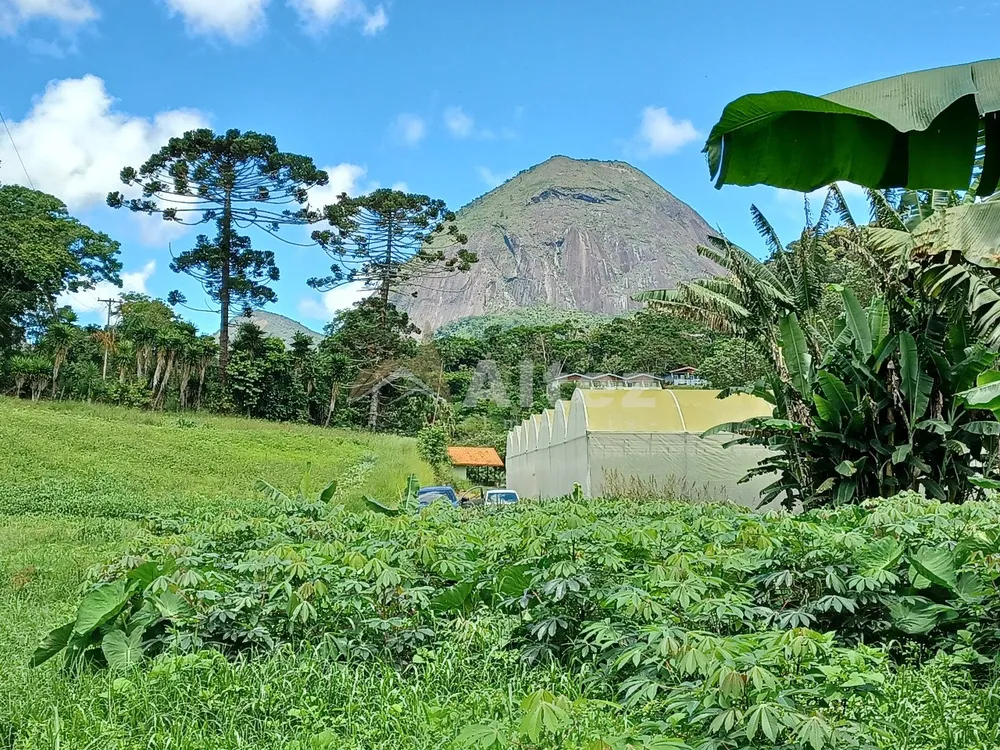 Sítio, 22 quartos, 41 hectares - Foto 74