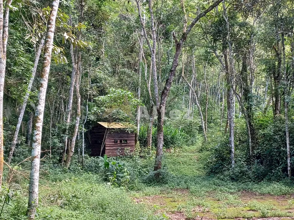 Sítio, 22 quartos, 41 hectares - Foto 40
