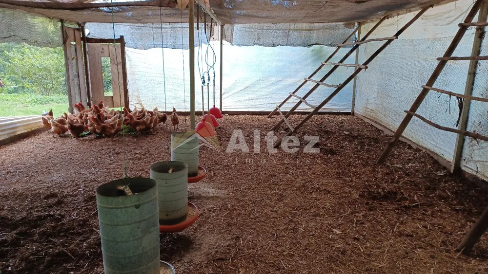 Sítio, 22 quartos, 41 hectares - Foto 41