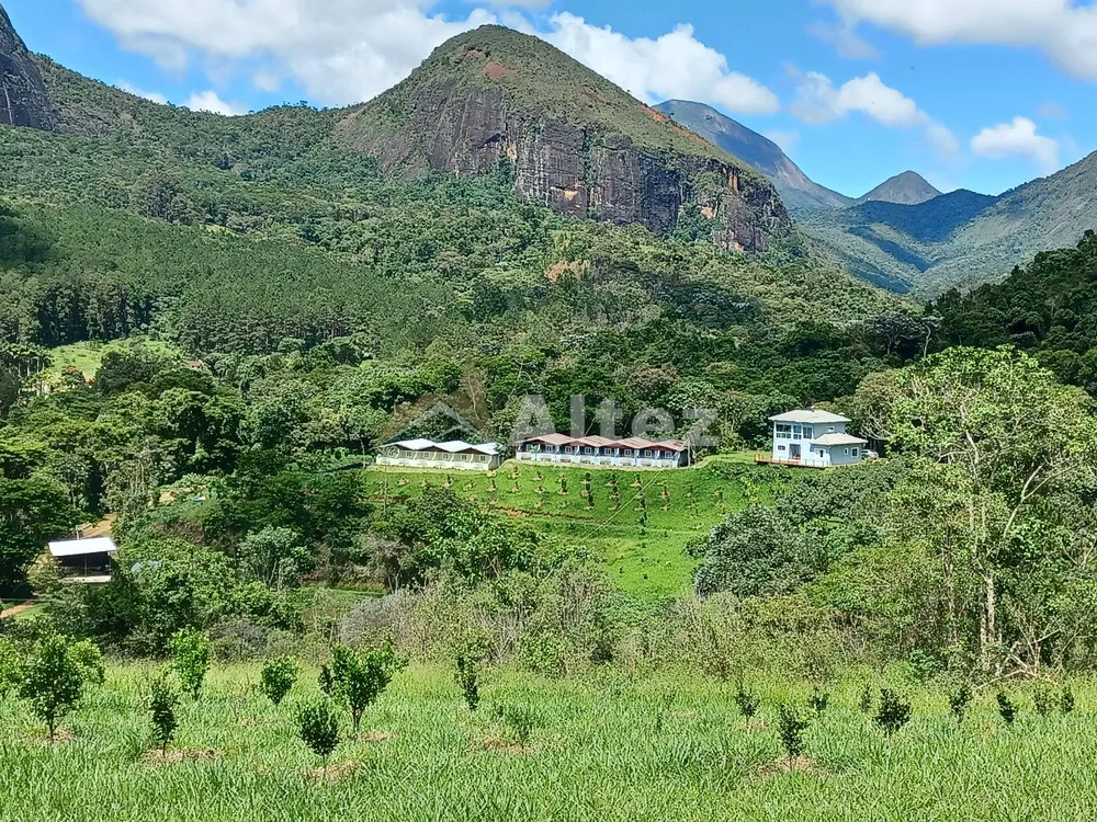 Sítio, 22 quartos, 41 hectares - Foto 47