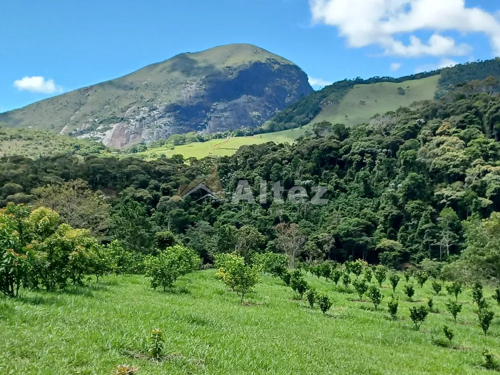 Sítio, 22 quartos, 41 hectares - Foto 44