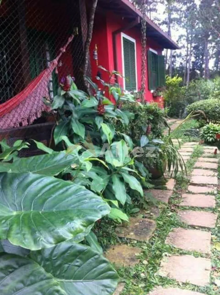 Casa, 4 quartos, 5000 m² - Foto 6