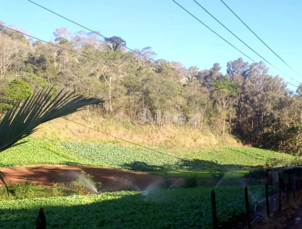 Sítio, 3 quartos, 27 hectares - Foto 6