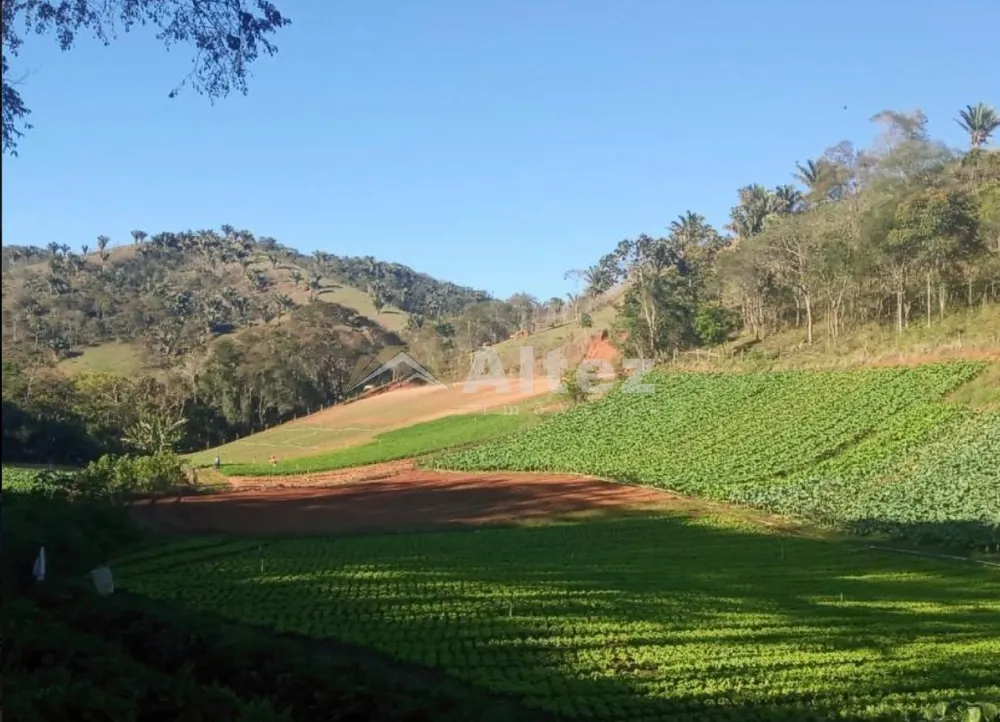 Sítio, 3 quartos, 27 hectares - Foto 1