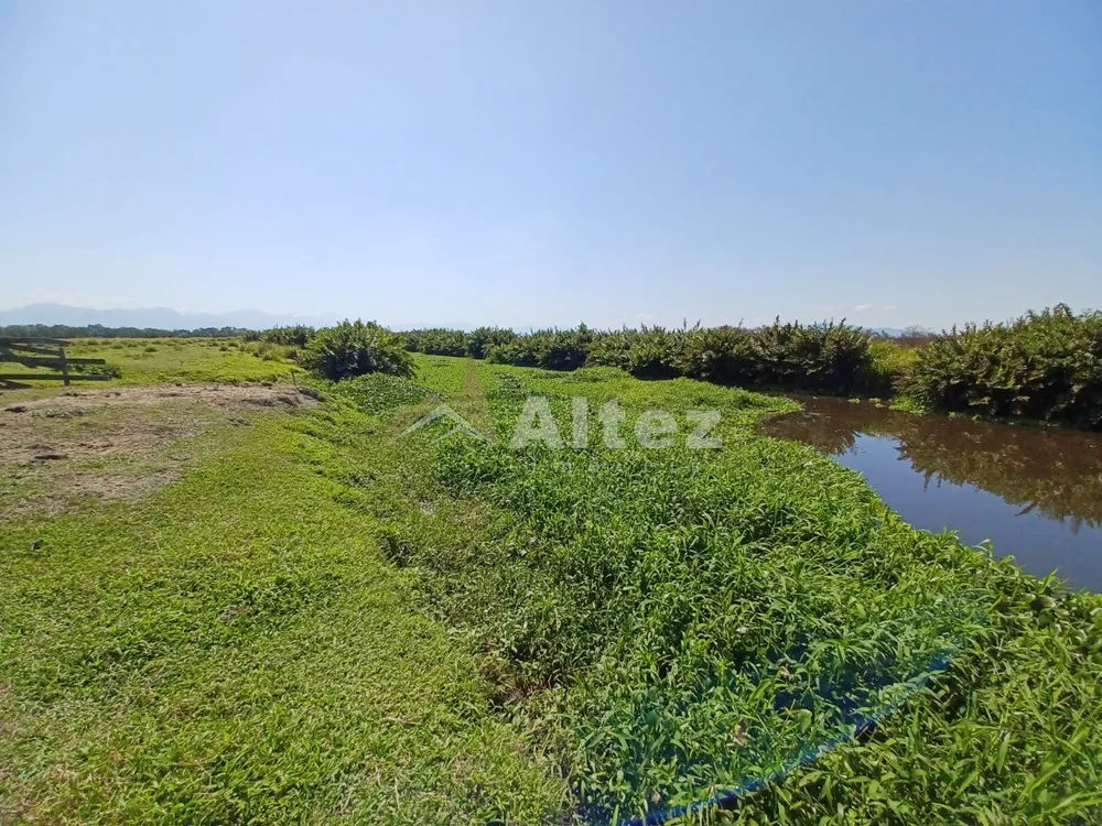 Fazenda, 315 hectares - Foto 10