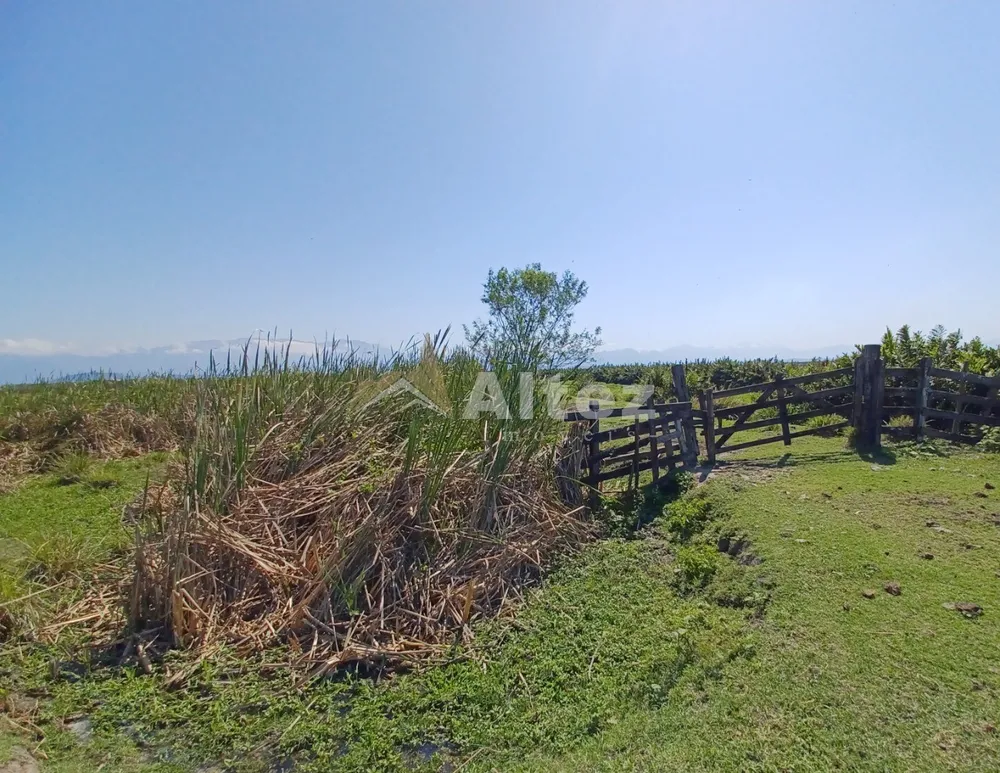 Fazenda, 315 hectares - Foto 8