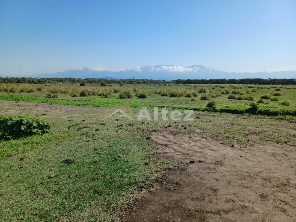 Fazenda, 315 hectares - Foto 9