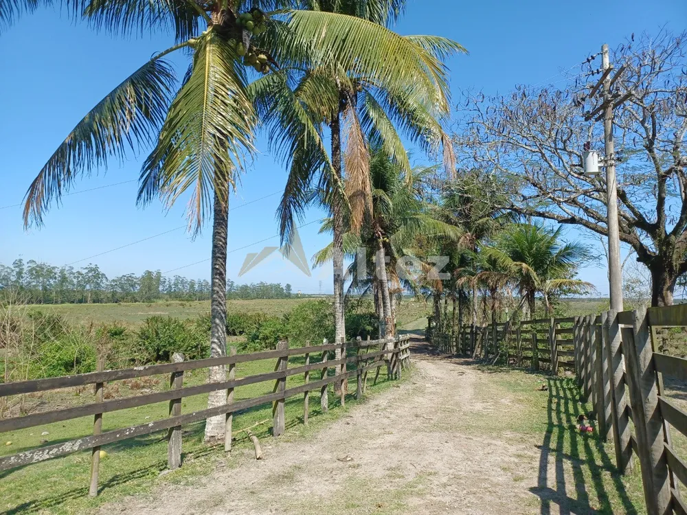 Fazenda, 315 hectares - Foto 1