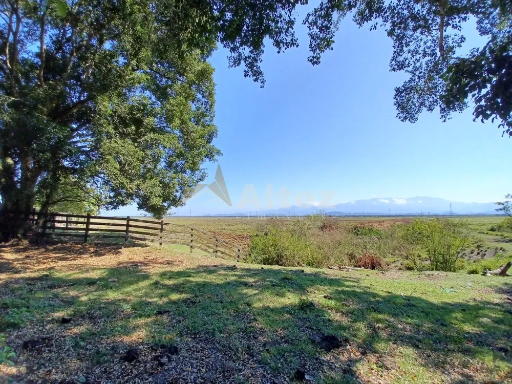 Fazenda, 315 hectares - Foto 3