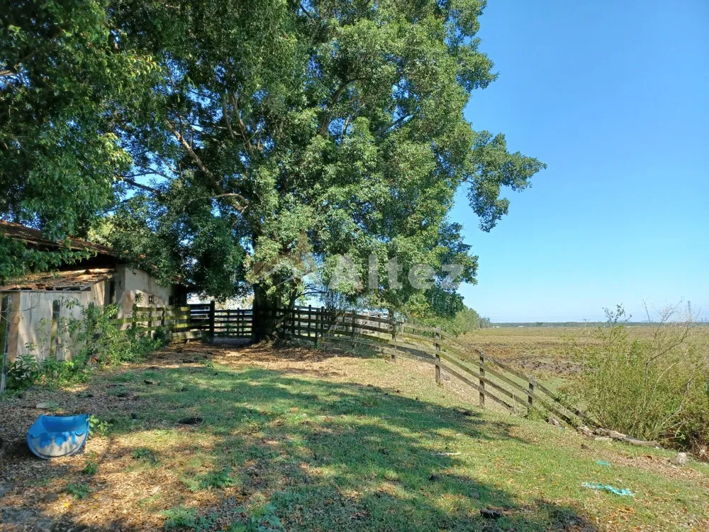 Fazenda, 315 hectares - Foto 14