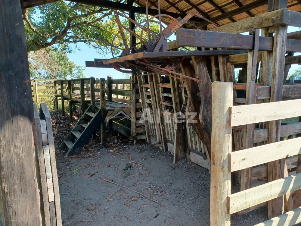 Fazenda, 315 hectares - Foto 16
