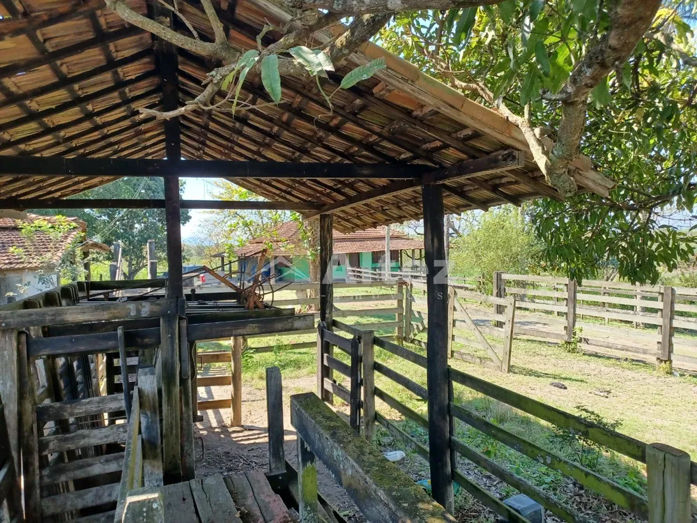 Fazenda, 315 hectares - Foto 17