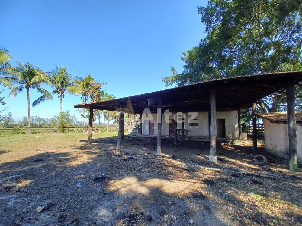 Fazenda, 315 hectares - Foto 24