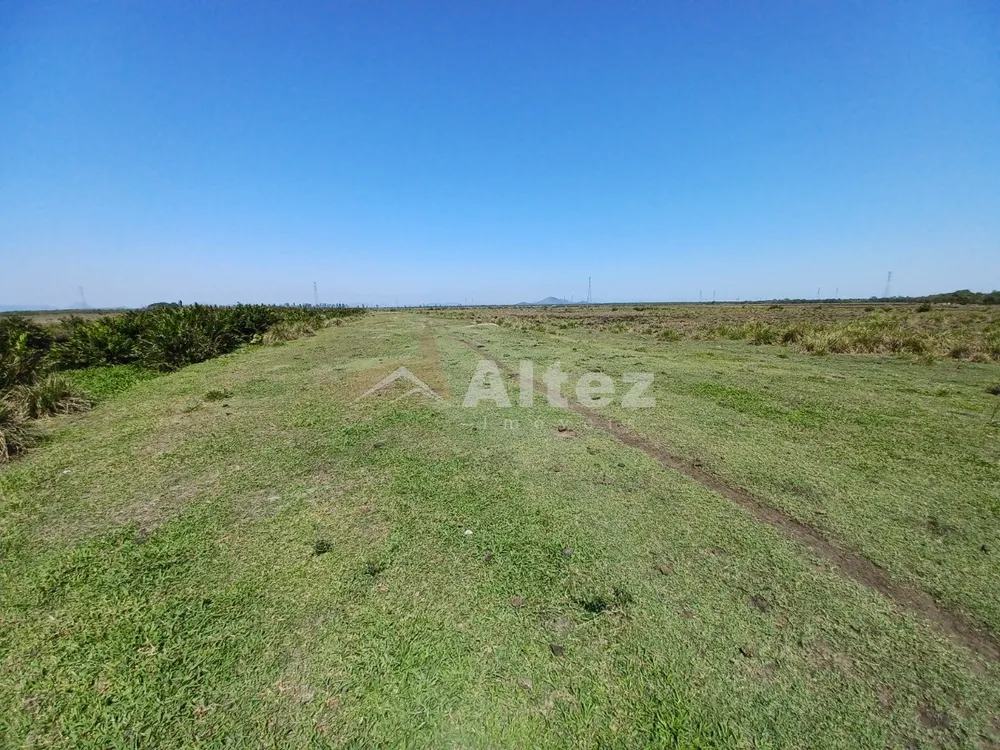 Fazenda, 315 hectares - Foto 13