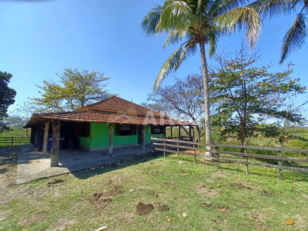 Fazenda, 315 hectares - Foto 19