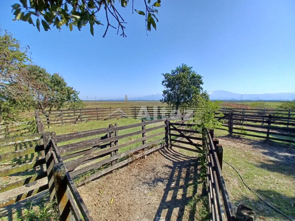 Fazenda, 315 hectares - Foto 15