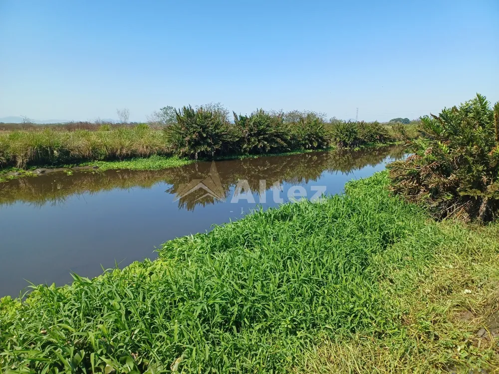 Fazenda, 315 hectares - Foto 12