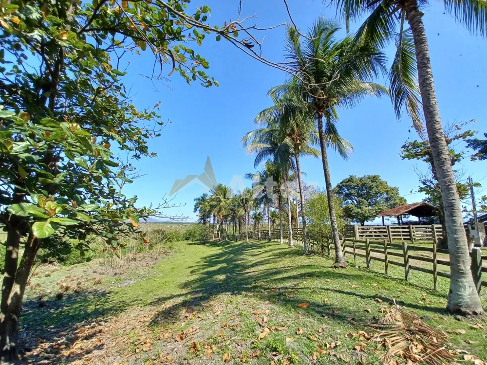 Fazenda, 315 hectares - Foto 25