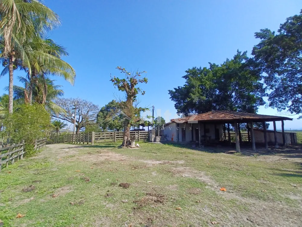 Fazenda, 315 hectares - Foto 23