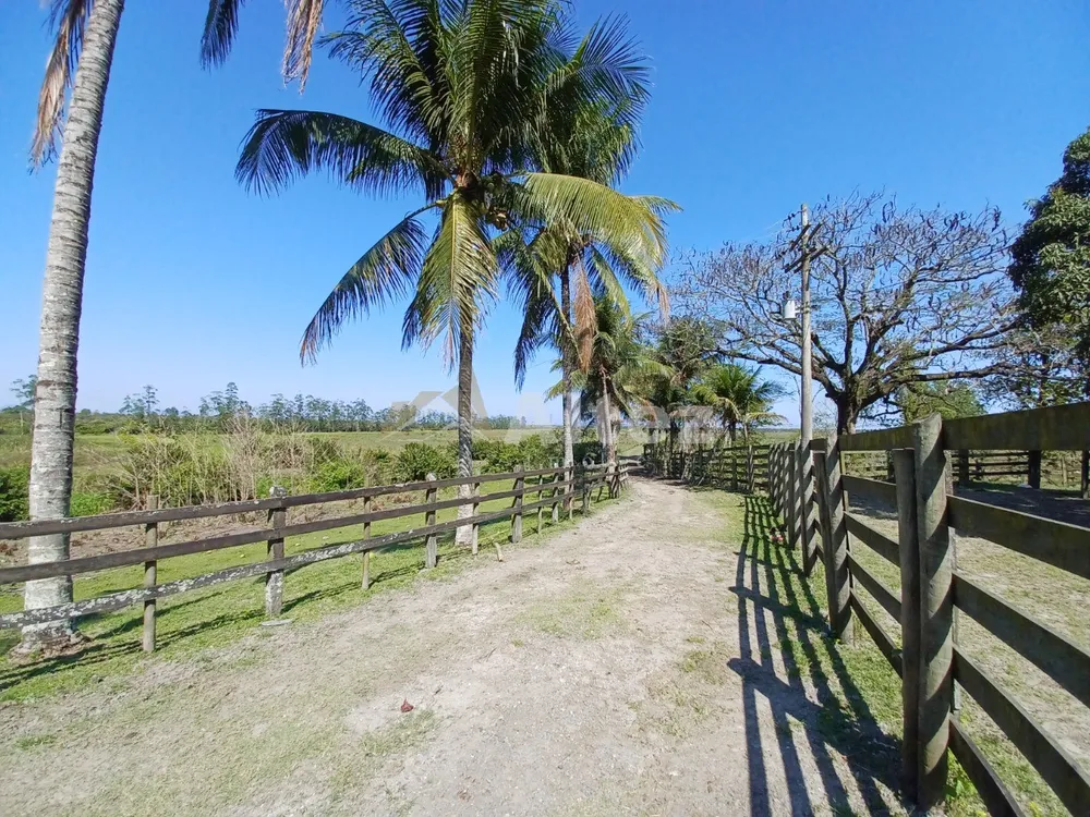 Fazenda, 315 hectares - Foto 26