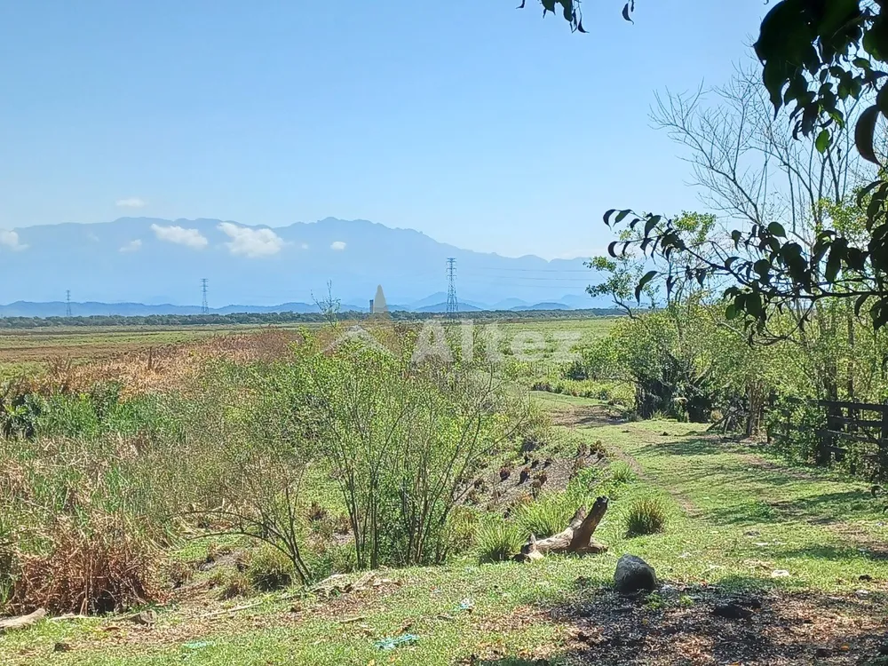 Fazenda, 315 hectares - Foto 4