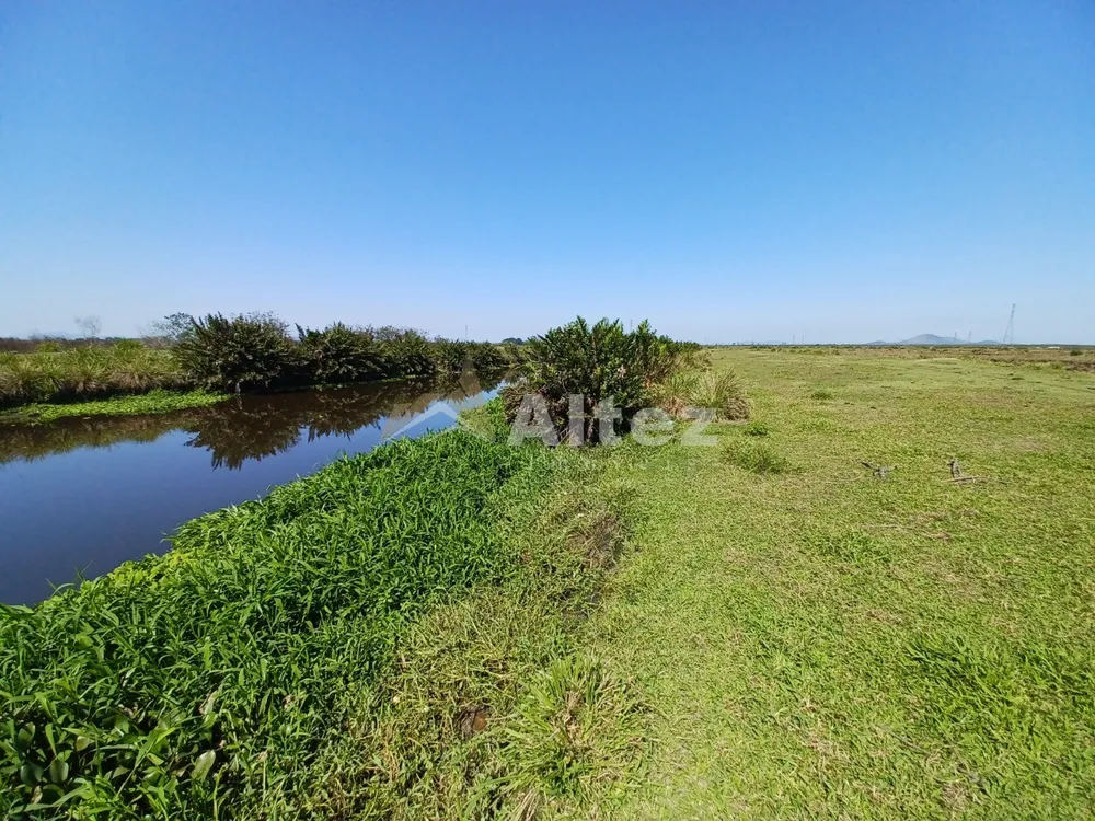 Fazenda, 315 hectares - Foto 11