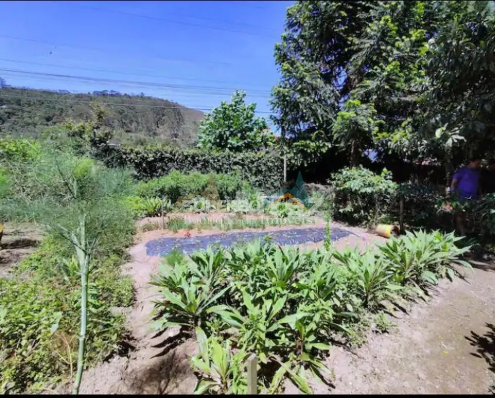 Casa, 4 quartos, 400 m² - Foto 18