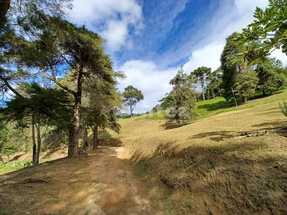 Sítio, 4 quartos, 28 hectares - Foto 13