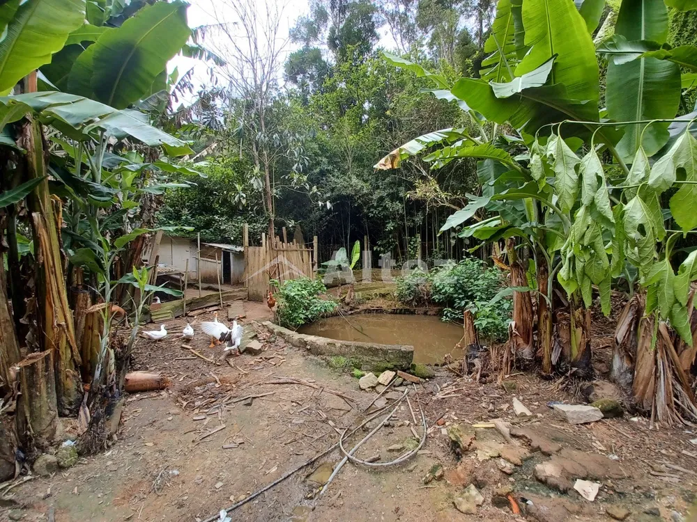 Casa, 3 quartos, 3900 m² - Foto 6