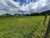 Fazenda, 1476 hectares - Foto 4