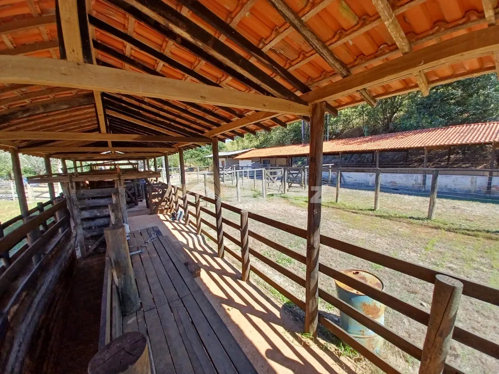 Sítio, 3 quartos, 48 hectares - Foto 42
