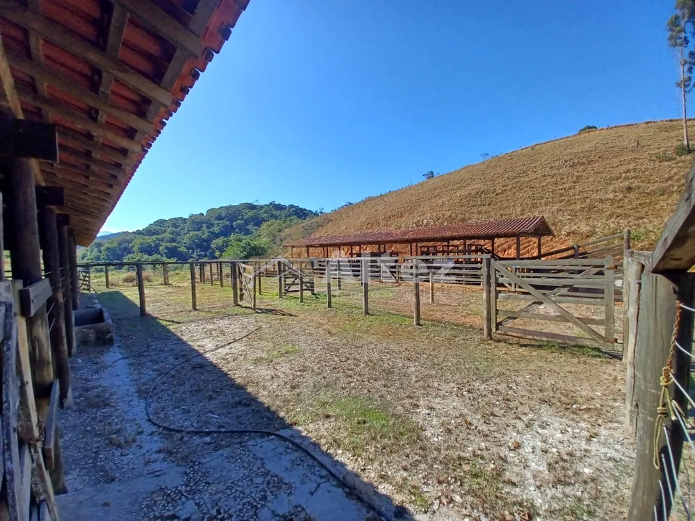 Sítio, 3 quartos, 48 hectares - Foto 39