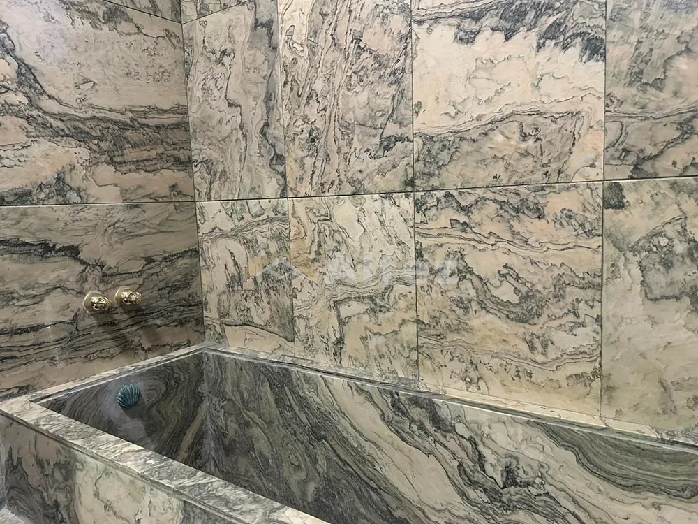 Casa, 4 quartos, 3526 m² - Foto 66
