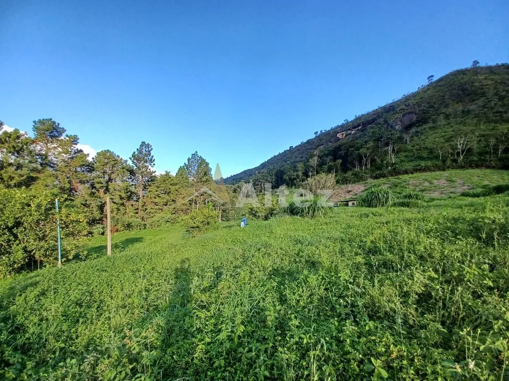 Sítio, 1 quarto, 12 hectares - Foto 7