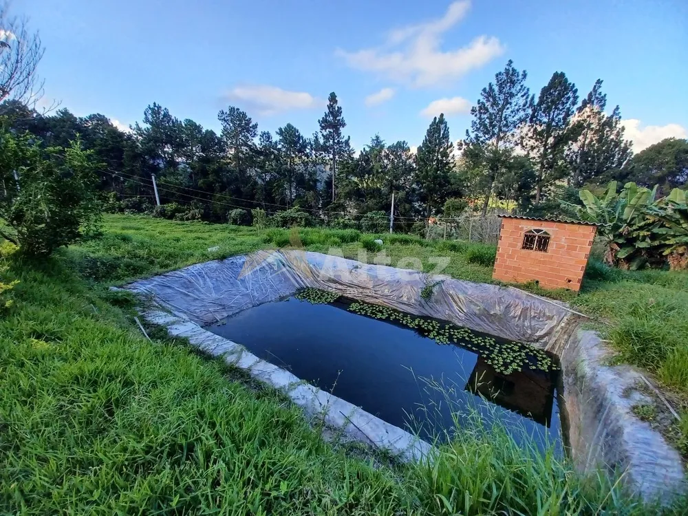 Sítio, 1 quarto, 12 hectares - Foto 9